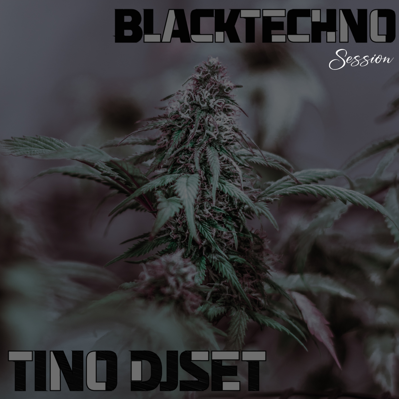 Black Techno Session