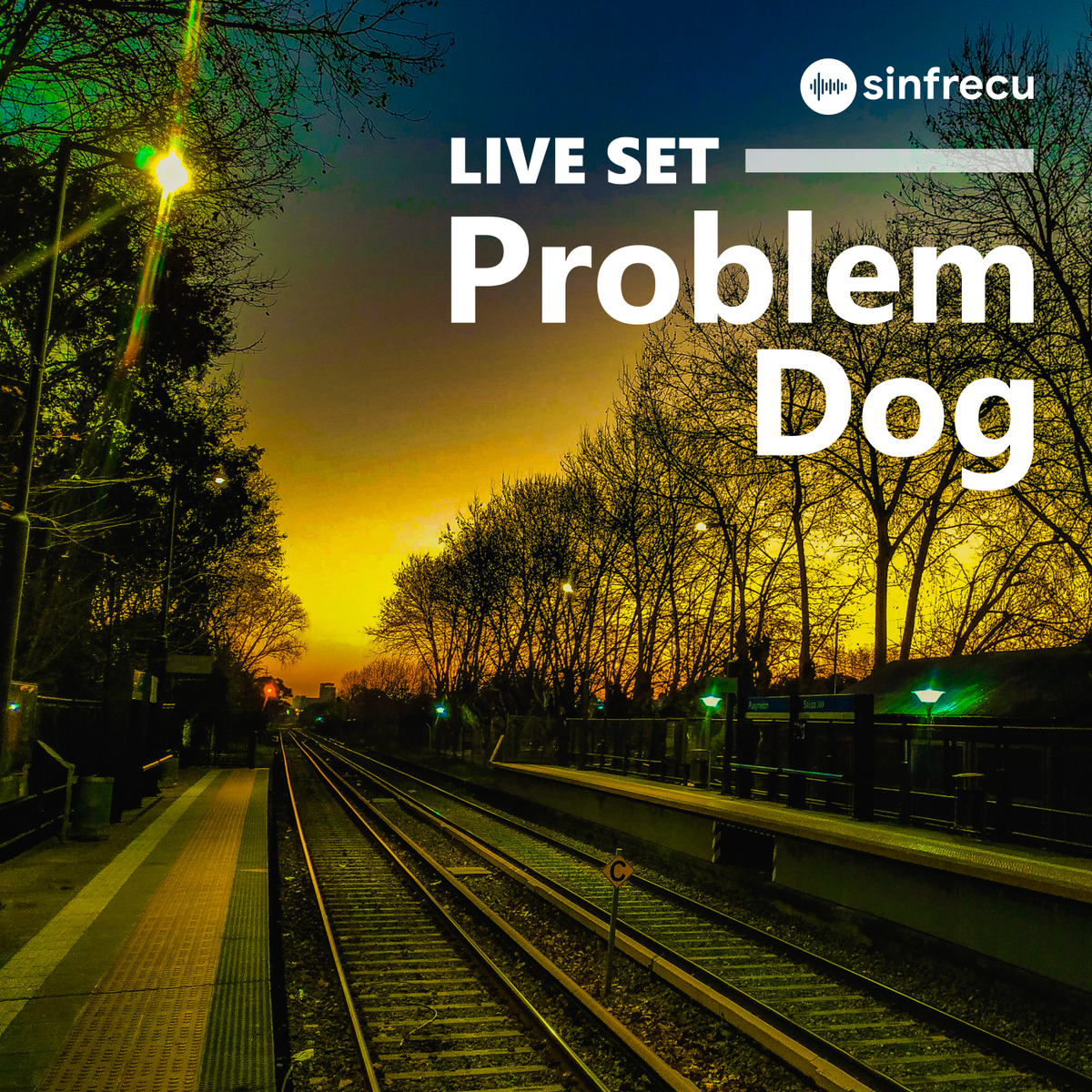 Problem Dog