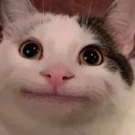 sinfrecu