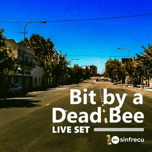 Bit by a Dead Bee