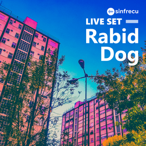 Rabid Dog