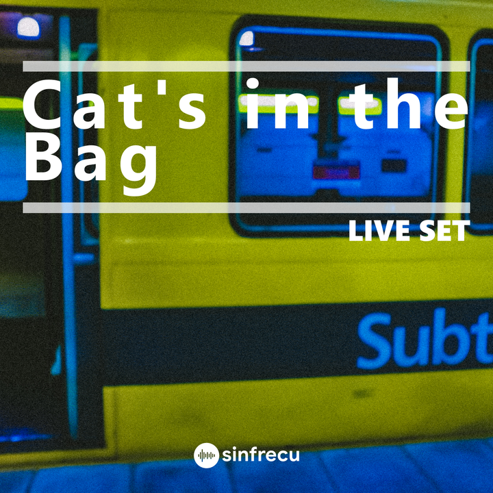Cat's in the bag
