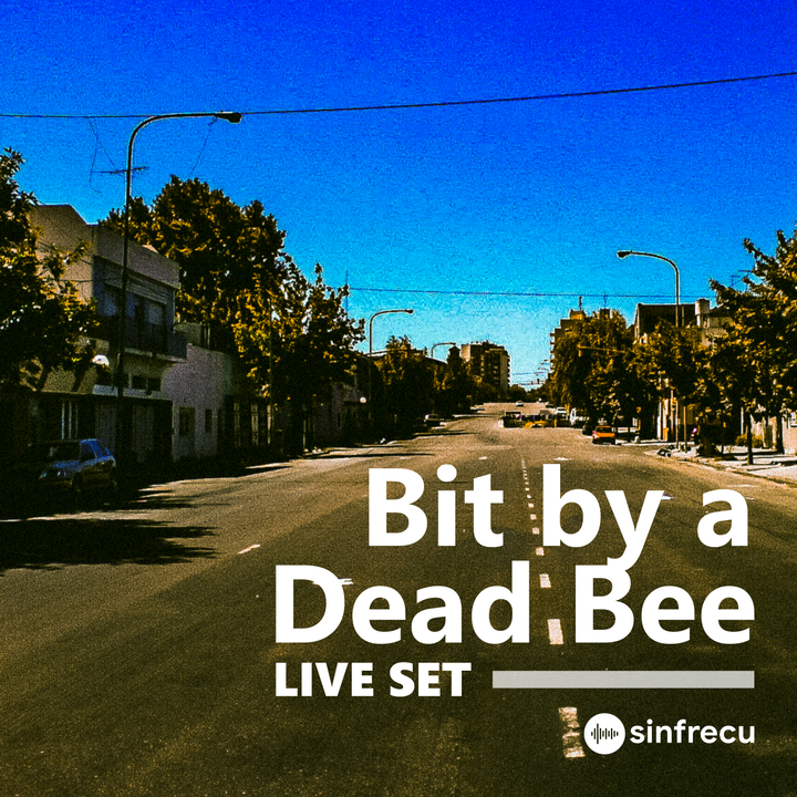 Bit by a Dead Bee