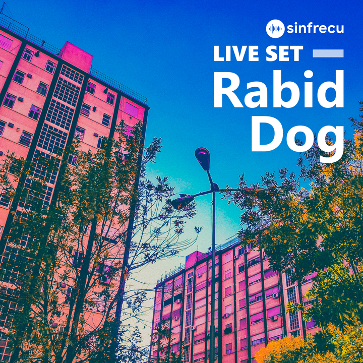 Rabid Dog